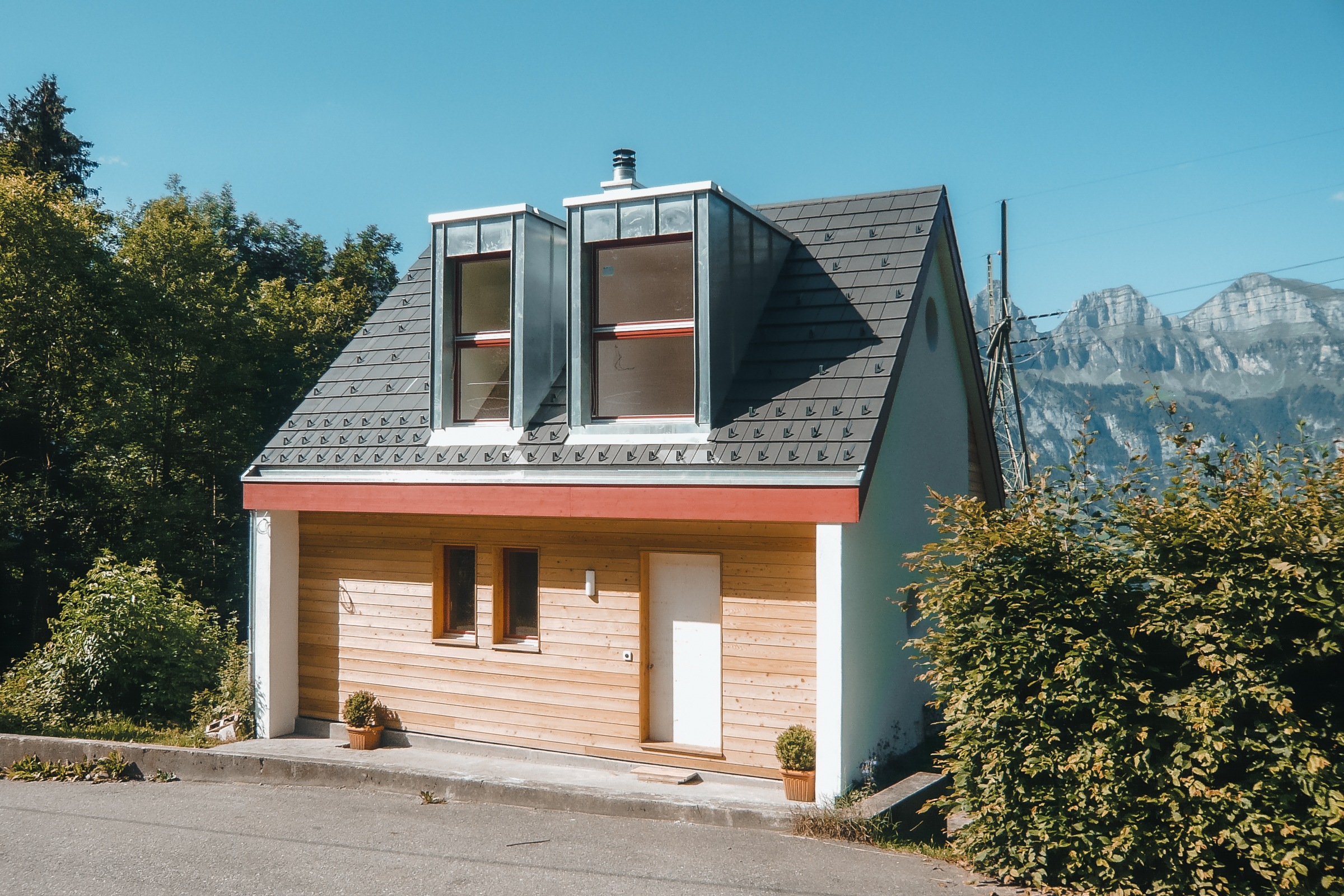 Slider_20070619_BM_Hirt_006_P1010320 Kopie.jpg