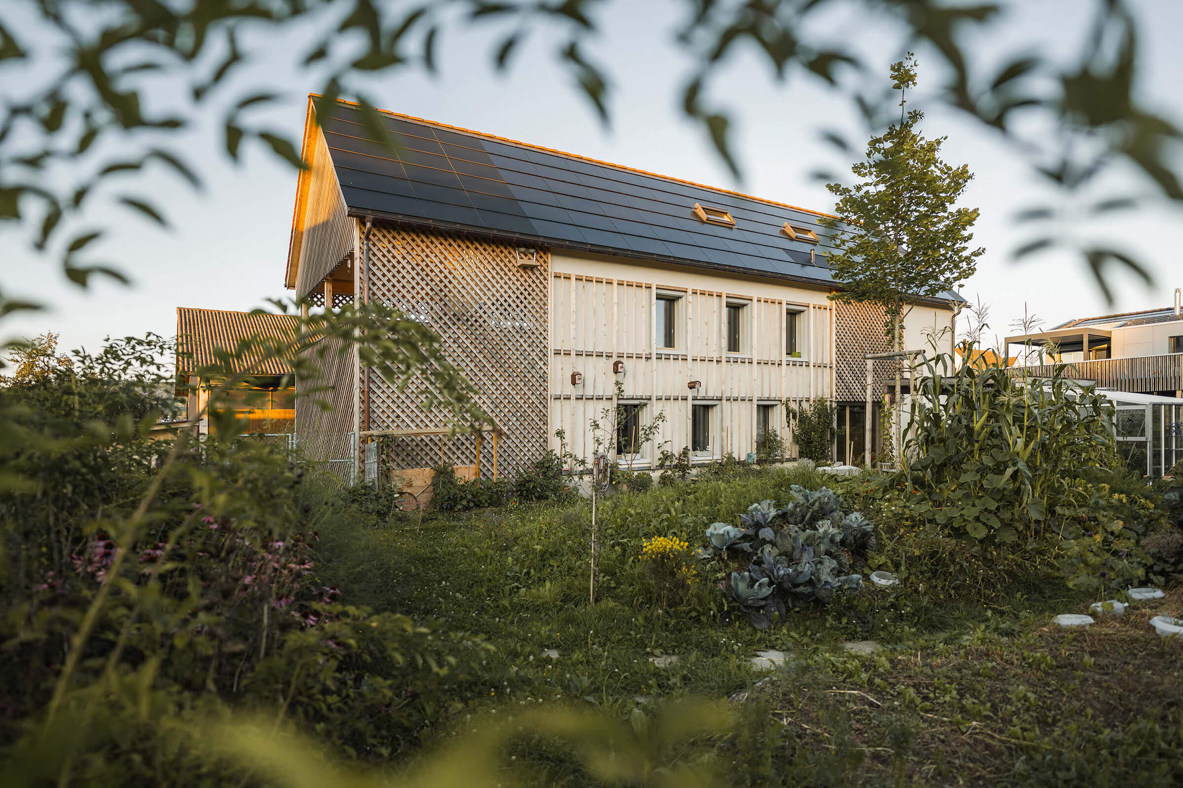 Slider_20210901_Metzler_Bauatelier_Eschenz_jk_015_DSC5795 Kopie.jpg