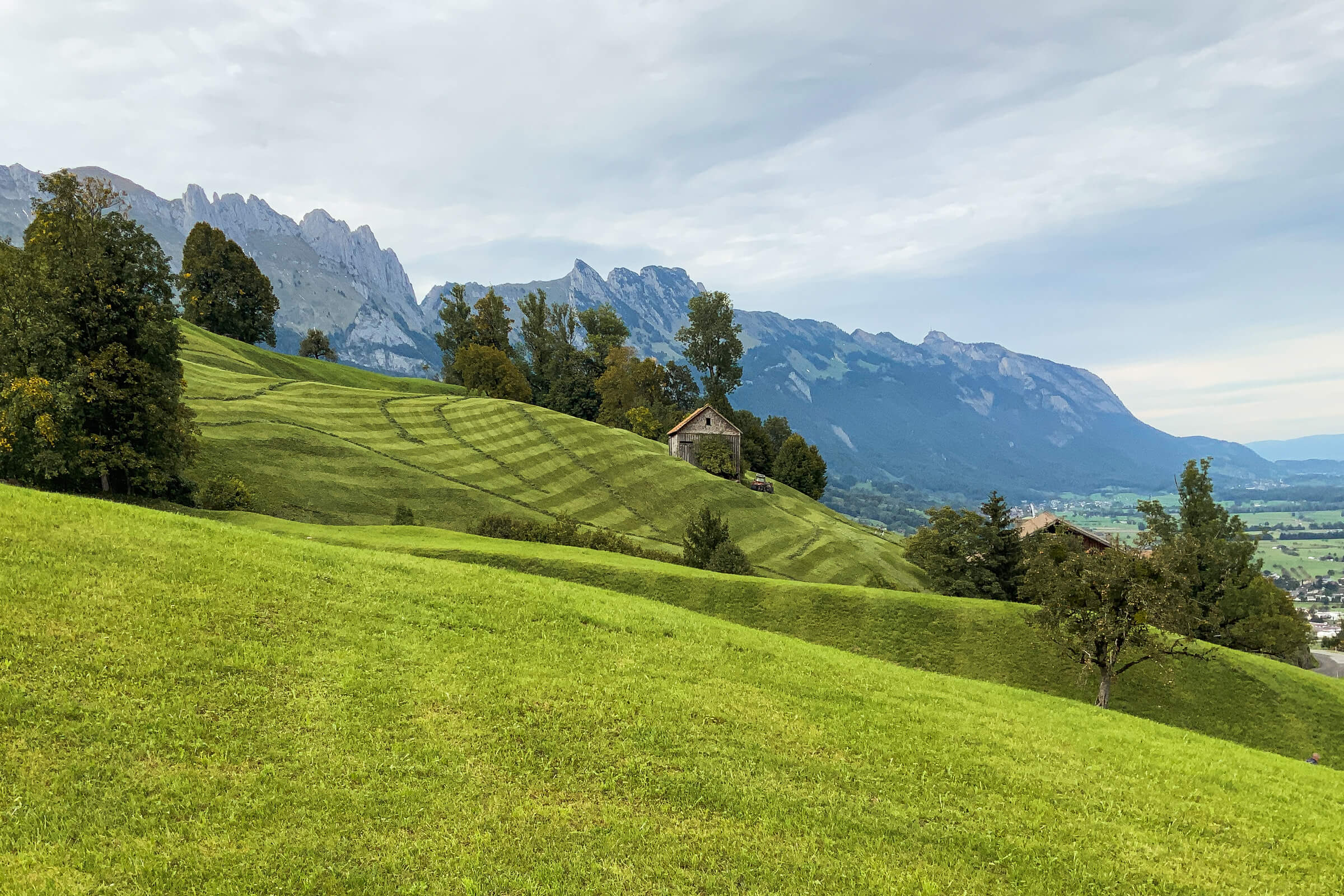 Slider_20240925_BM_Neubau_Drollinger_006_Neubau_Drollinger_002 Kopie.jpg