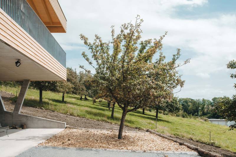 20100819_Bauatelier-Metzler_Beerli_jk_005100819 19.jpg